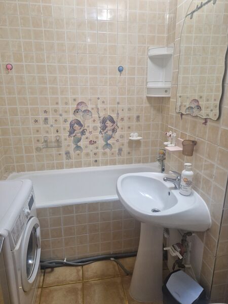 Pantelimon- Iancului