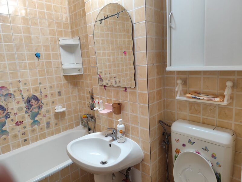 Pantelimon- Iancului